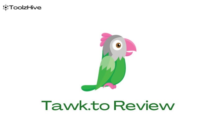 Tawk.to Review